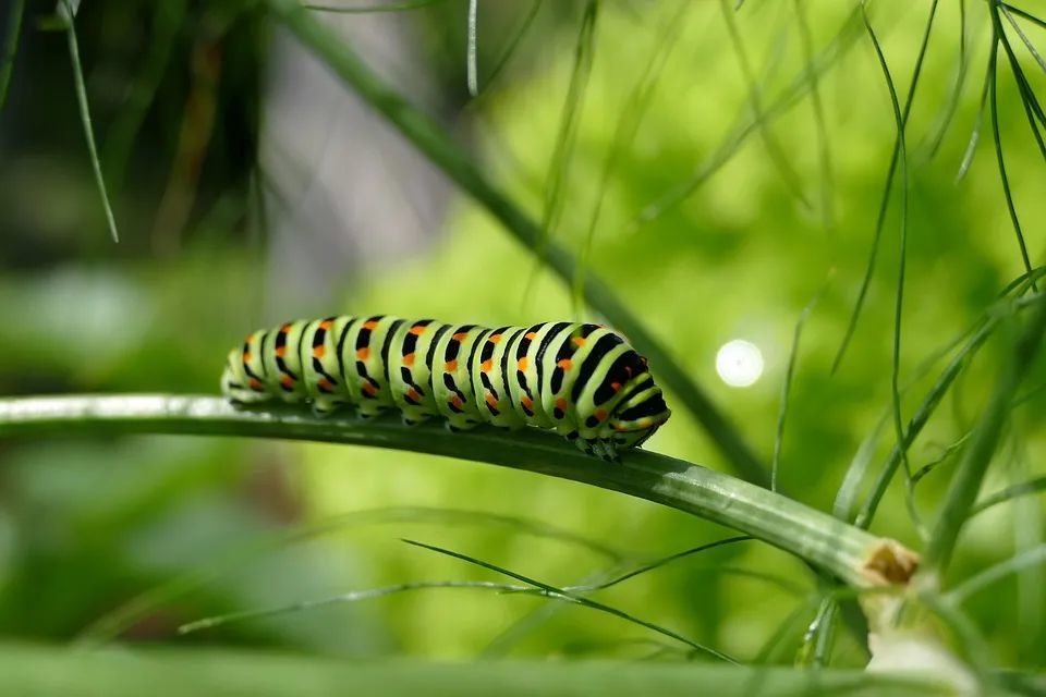 心理学|心理学中实用的6条定律