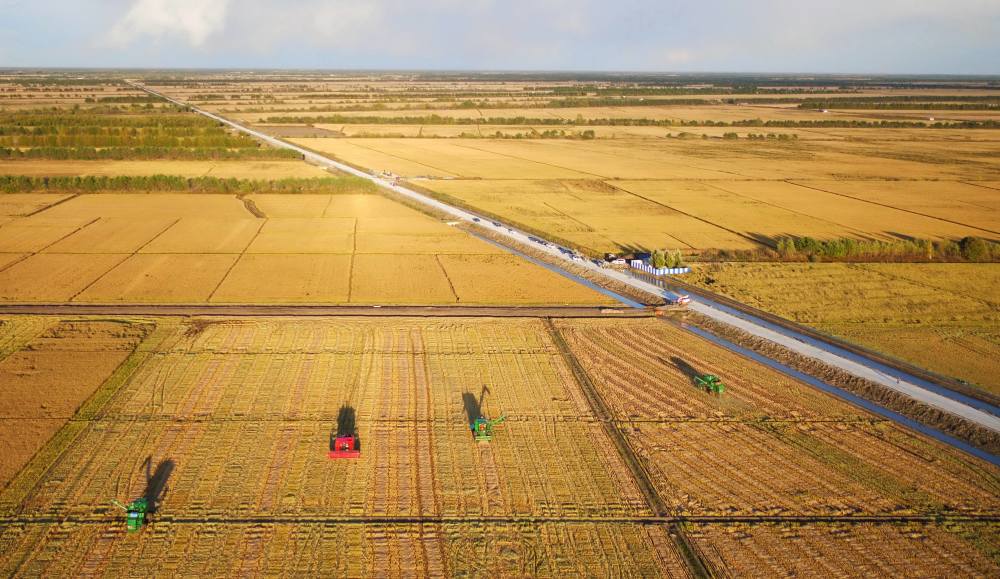 外东北有4大平原,分别是三江平原,洁雅平原,兴凯湖-海参崴平原,黑龙江