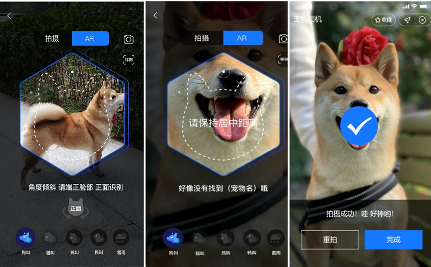 掃一掃在線識狗寵物鼻紋識別成功率突破99
