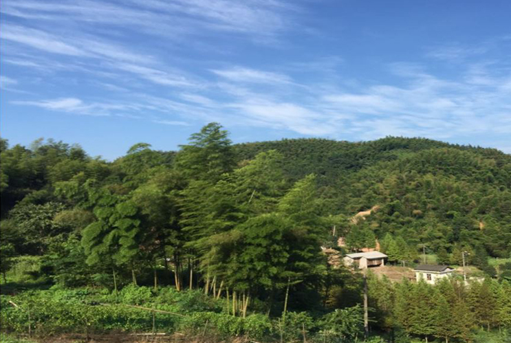 绿壳鸡蛋|孕妈注意！看完这篇文章，你就知道吃哪种鸡蛋补给更好