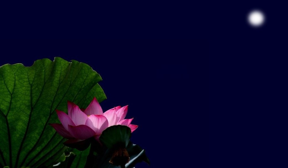 孤独|这首感慨人生的古体诗词，大梦空空一场，道尽悲欢与豁达