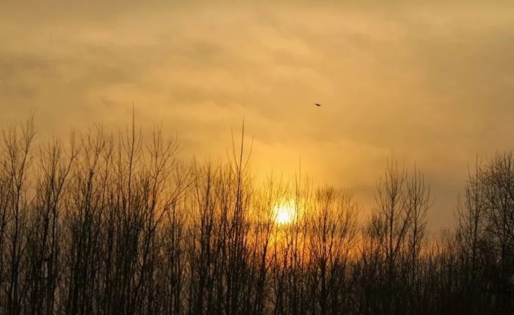 孤独|这首感慨人生的古体诗词，大梦空空一场，道尽悲欢与豁达