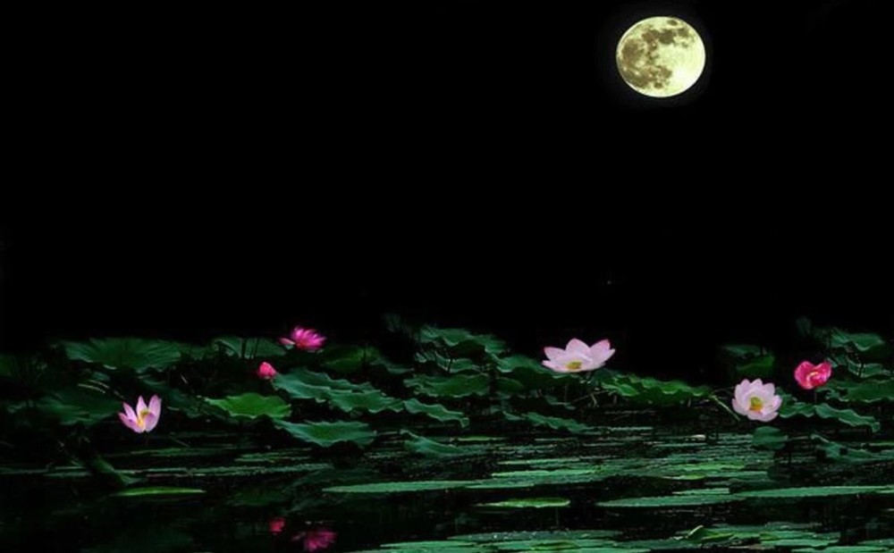 孤独|这首感慨人生的古体诗词，大梦空空一场，道尽悲欢与豁达