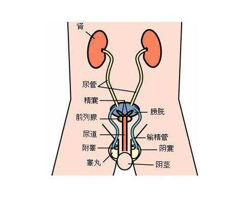 尿道炎的临床症状以及并发症都有哪些