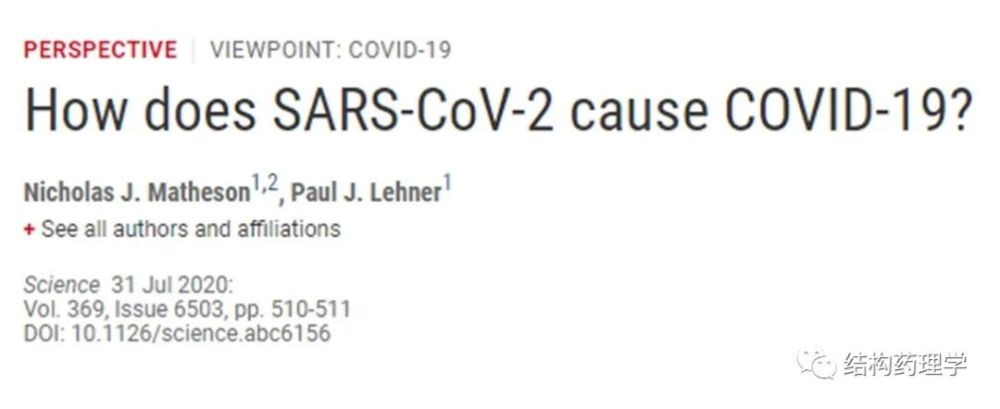 新冠病毒|Science：新冠病毒是如何导致新冠肺炎的