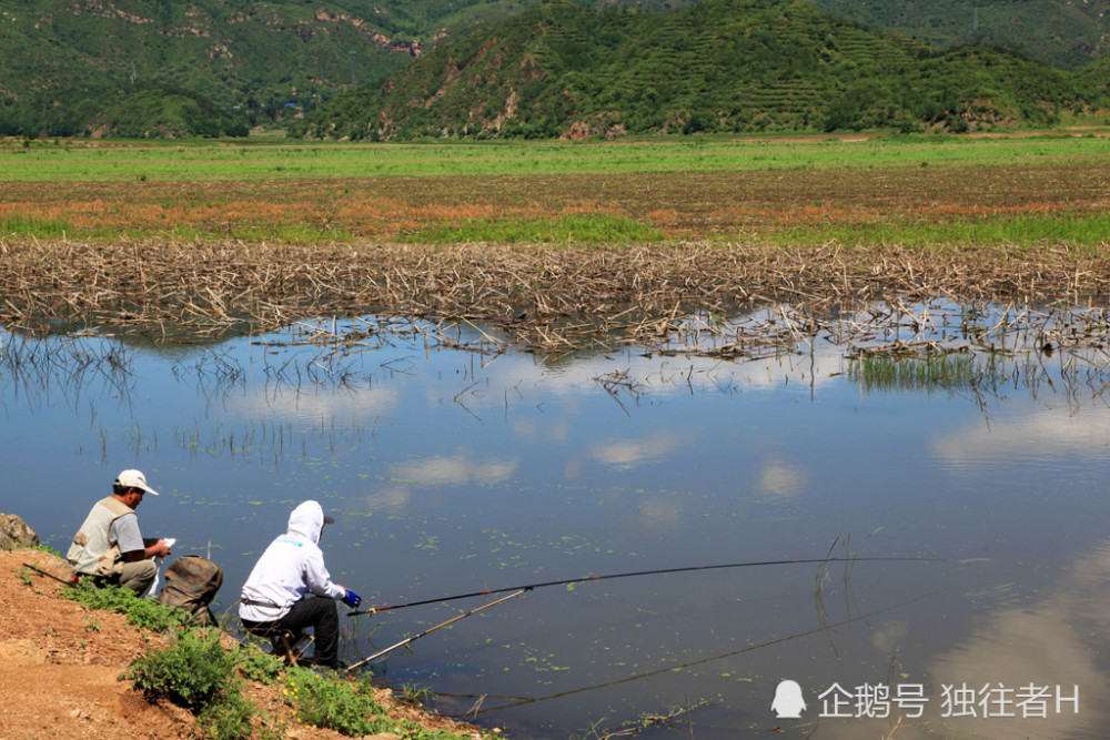 石塘路村|周末去山青、涧碧、水绿、天蓝的石塘路，享受垂钓的乐趣