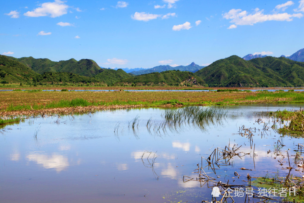 石塘路村|周末去山青、涧碧、水绿、天蓝的石塘路，享受垂钓的乐趣
