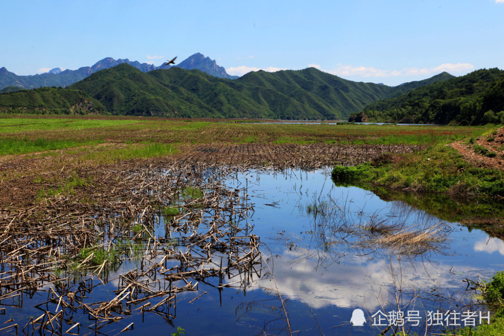 石塘路村|周末去山青、涧碧、水绿、天蓝的石塘路，享受垂钓的乐趣