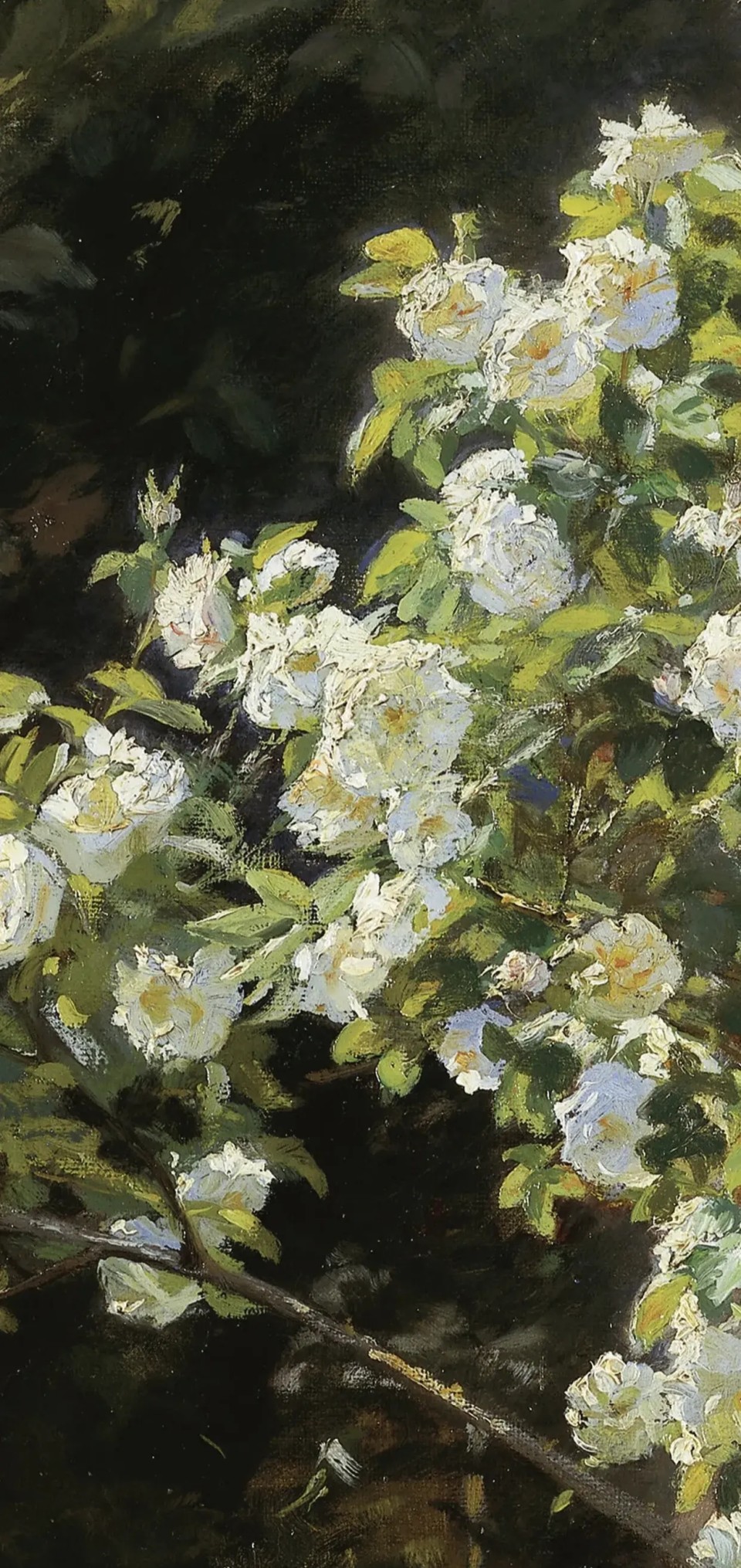 刘剑波读画《为什么这种绘画风格在中国受众广泛》