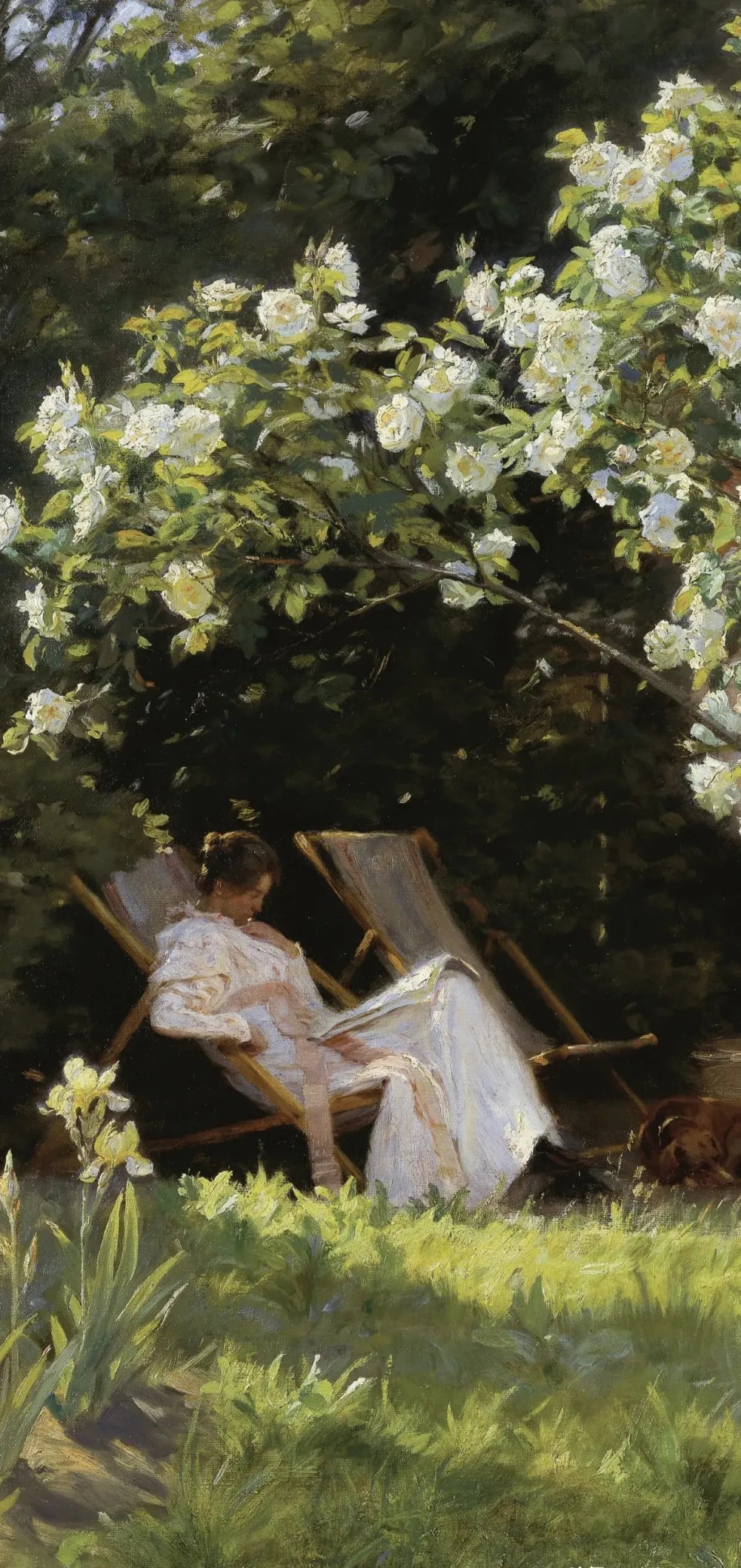 刘剑波|刘剑波读画《为什么这种绘画风格在中国受众广泛》