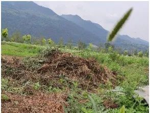 中国科学院大学|【7月大盘点】你不应错过的十大“热点”微信