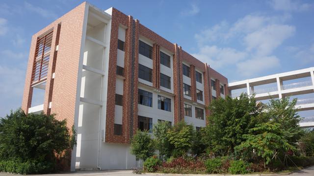 2020广西高中高考学_广西:2020年下半年普通高中学业水平考试公告