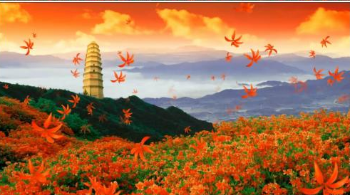 林克强|【方志四川 八一特辑】林克强‖红旗与钢枪