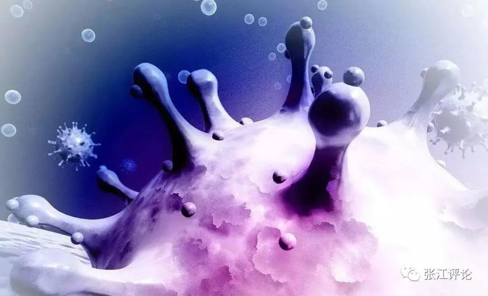 新冠病毒|细化新冠病毒RNA基因组的结构