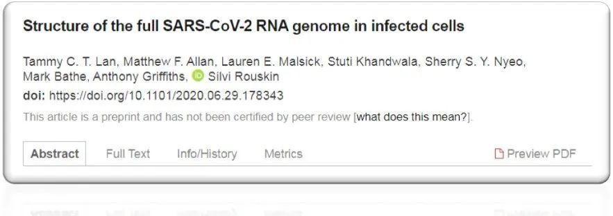 新冠病毒|细化新冠病毒RNA基因组的结构