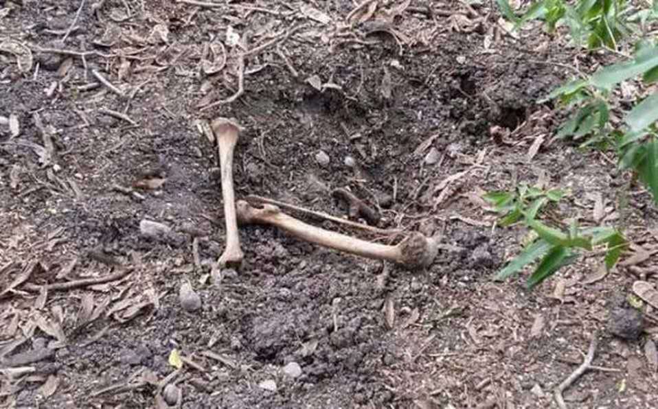 墨西哥_社会|墨西哥刑事调查局长查案途中失踪，7个月后在乱葬坟中被挖出