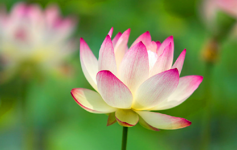 立秋到了8月3日至9日 下周运气早知道 腾讯新闻