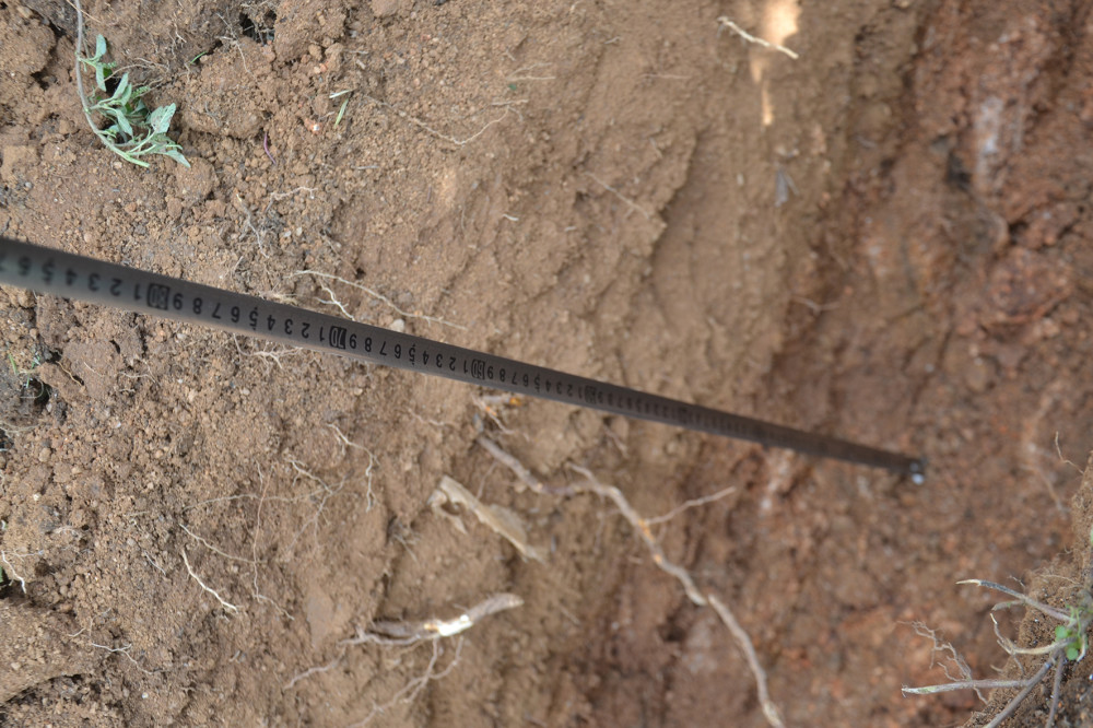 施肥|挖坑施肥和撒施，哪一种更好？要看具体情况，不能认死理