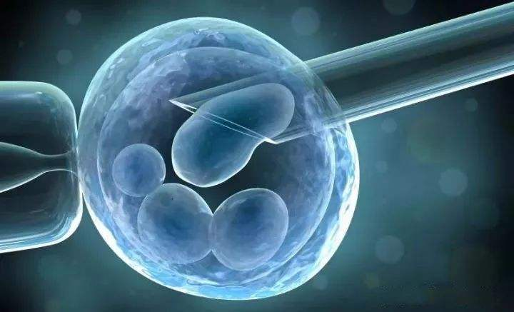 循环障碍|恢复自愈力，逆转糖尿病及并发症，前沿微生物组学创新突破