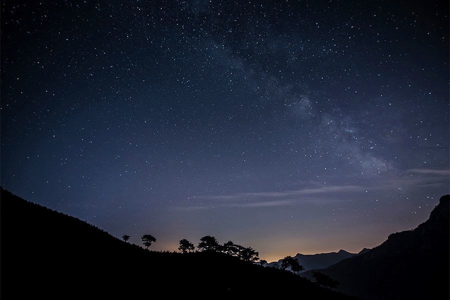 清风|八月，风吹叶落惊秋来