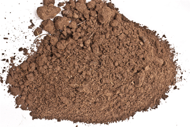 地球上的土壤从何而来?这一切与"吃土"细菌有关,它们贡献巨大