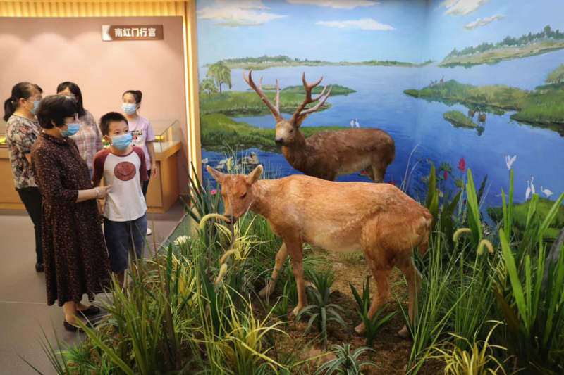 瀛海镇|大兴瀛海旧厂房变身文史馆，打造沉浸式乡愁场景