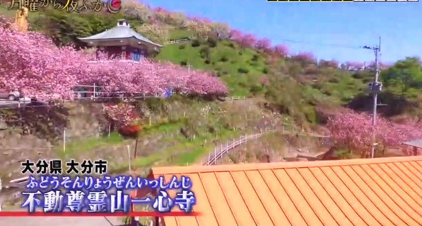 日本主持将自家寺庙二次元化，并且亲自为宣传角色配音