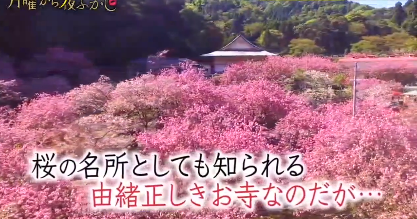 日本主持将自家寺庙二次元化 并且亲自为宣传角色配音 腾讯新闻