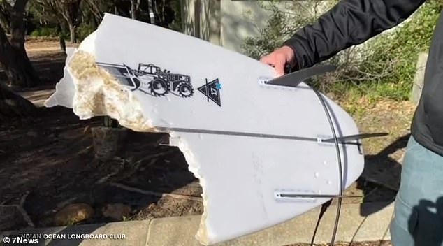 穆默特|澳男子遇大白鲨，眼疾手快用冲浪板卡住鲨嘴，惊险逃命仍留骇人伤口