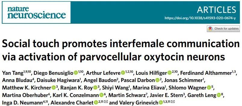 催产素|科学家拍了拍你：“社恐”别怕……触摸可以带来治愈力量