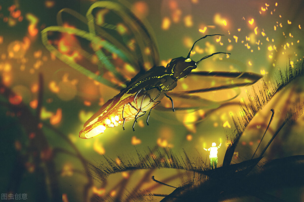 长耳鸮|打架的，交配的红隼，消失的长耳鸮，北京城里的那些野生动物