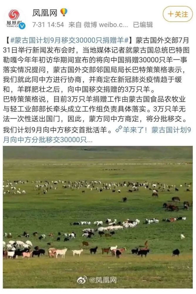 蒙古国30000只羊真的要来了!肥壮肥壮的!除了涮肉还能