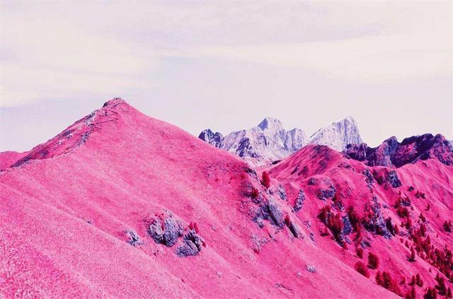 全球气候变暖|地球发出求救信号？阿尔卑斯惊现“血雪”，专家：很美却也很危险