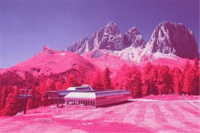 全球气候变暖|地球发出求救信号？阿尔卑斯惊现“血雪”，专家：很美却也很危险