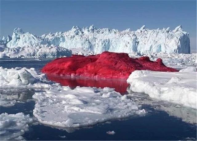 全球气候变暖|地球发出求救信号？阿尔卑斯惊现“血雪”，专家：很美却也很危险