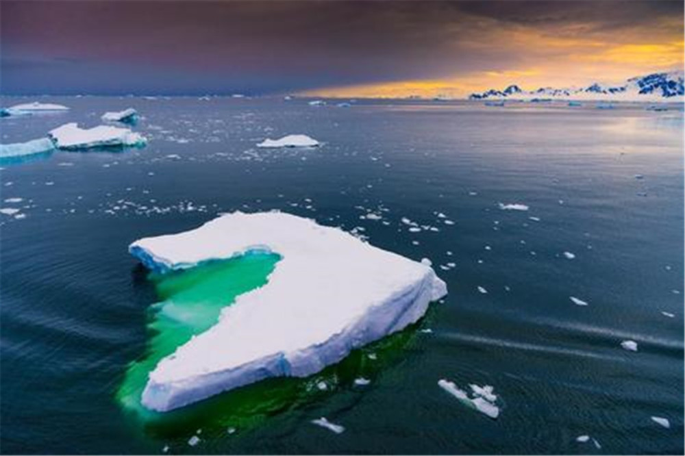 全球气候变暖|地球发出求救信号？阿尔卑斯惊现“血雪”，专家：很美却也很危险