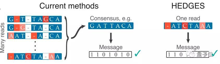 dna|将整本《绿野仙踪》存入纳米级DNA中，高效准确，读取无压力