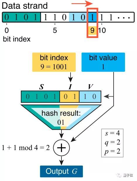 dna|将整本《绿野仙踪》存入纳米级DNA中，高效准确，读取无压力