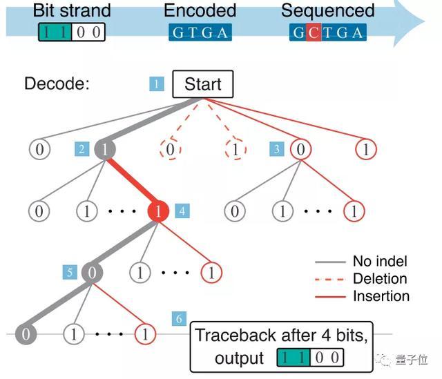 dna|将整本《绿野仙踪》存入纳米级DNA中，高效准确，读取无压力