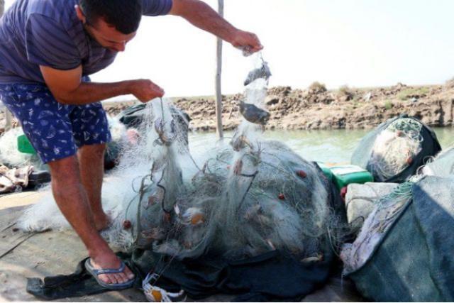 闃垮皵宸村凹浜?娓旀皯|阿尔巴尼亚遭蓝蟹入侵，渔民日捞300公斤无人吃，丢烈日下被晒坏