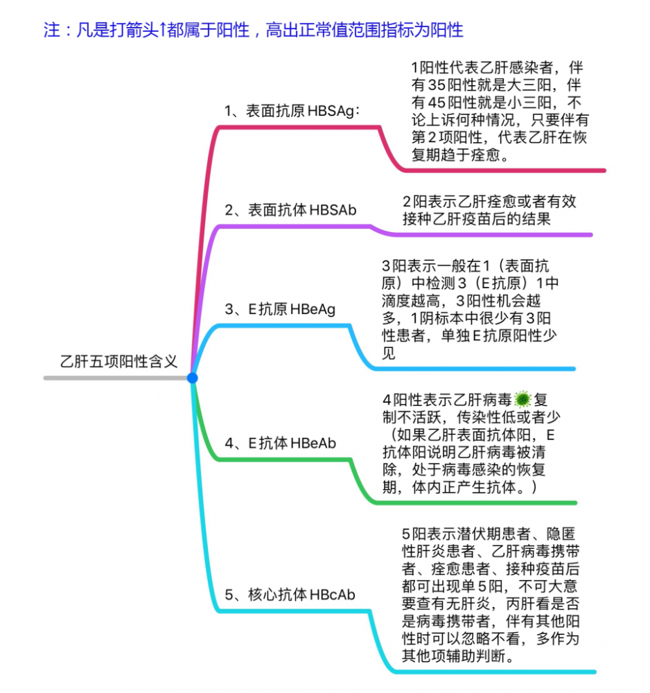乙肝|“乙肝”中国人曾谈之色变，那乙肝五项检查你了解多少呢？