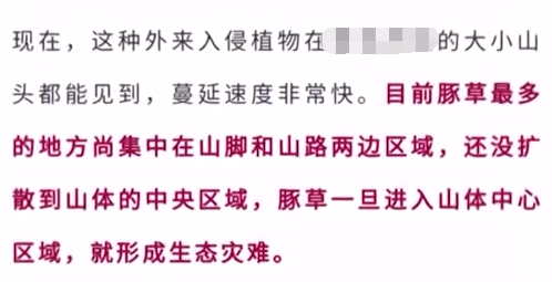 惊现 植物杀手 豚草 物种入侵还能形成生态灾难 听专家怎么说 腾讯新闻