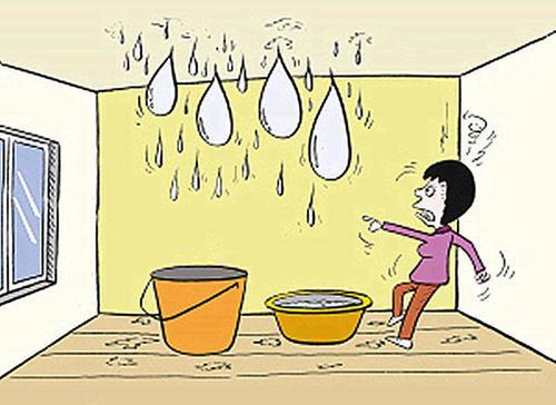 自建房屋顶漏水怎么办?不如试试这一招