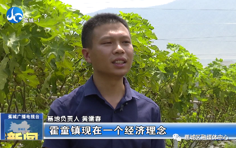 2017年以前,他和老乡黄长生,黄良贵等人一直在南平市从事蚯蚓养殖产业