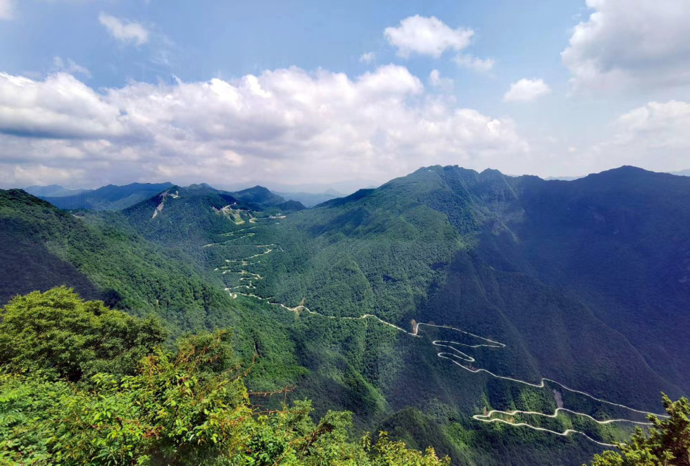 陕西除了秦岭还有一处天然氧吧成为秦巴地区的一道亮丽风景