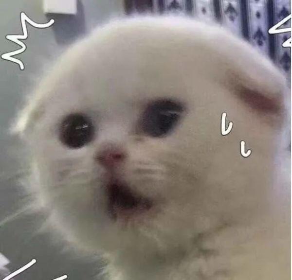 昆州|悉尼多华人区再现确诊！无数人逃往昆州！太可怕了！