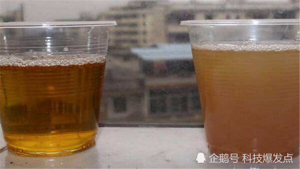 黄金|5000升尿液被煮沸，只为了提取出黄金，没想到取得另一大成功！