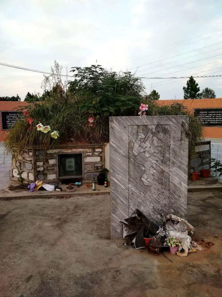 海子|带一只蝈蝈和六只蛐蛐儿去查湾大队看小查