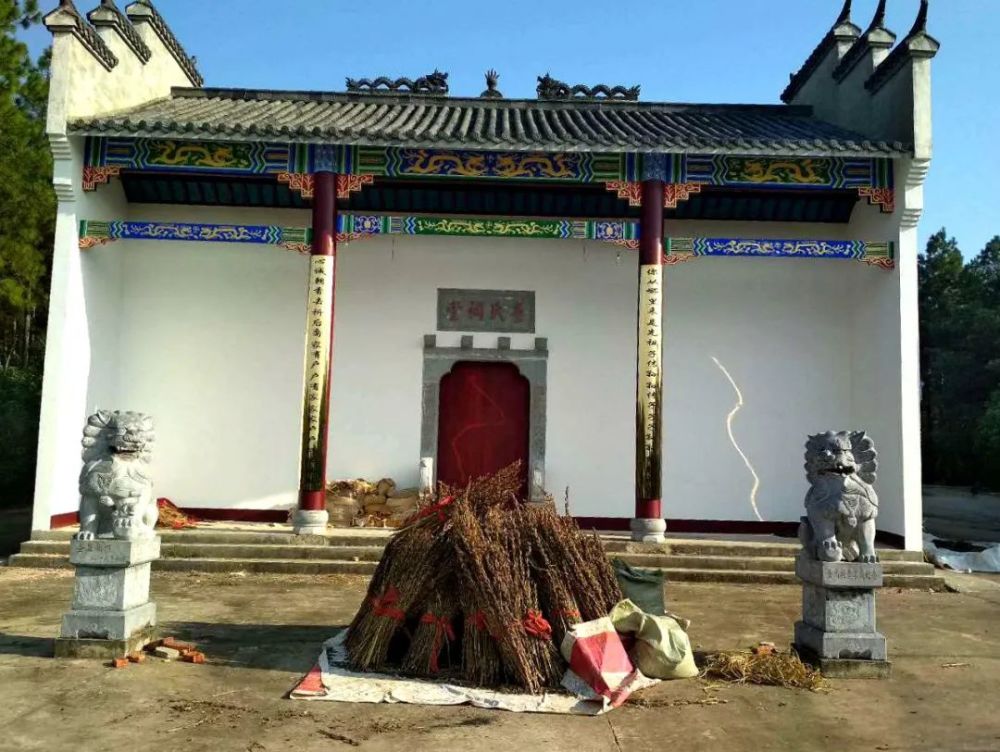 海子|带一只蝈蝈和六只蛐蛐儿去查湾大队看小查