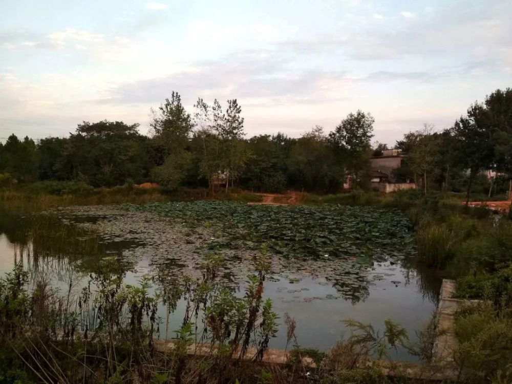 海子|带一只蝈蝈和六只蛐蛐儿去查湾大队看小查